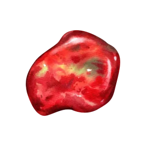 Red Coral (Moonga) gemstone